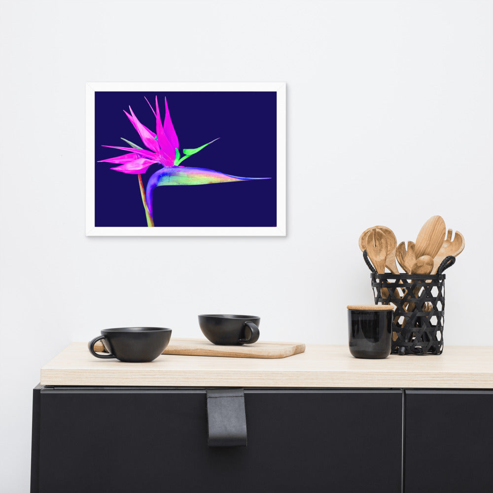 Pink Lady Bird of Paradise Framed premium paper poster