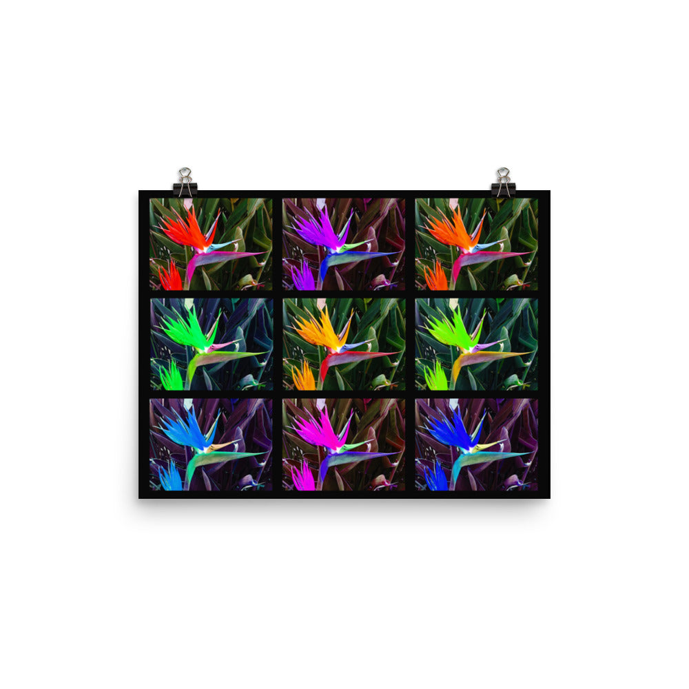 Bird of Paradise Collage Photo paper poster
