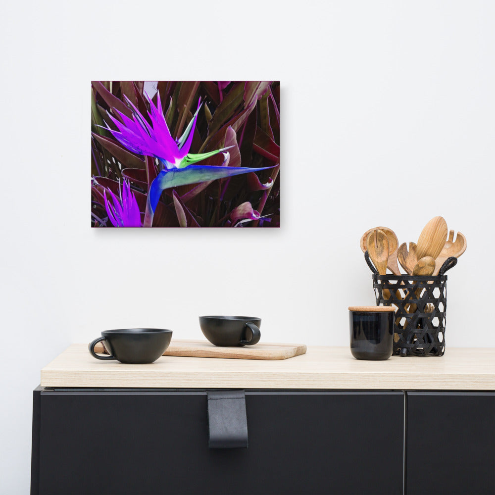 Bird of Paradise Purple Blue Canvas Print