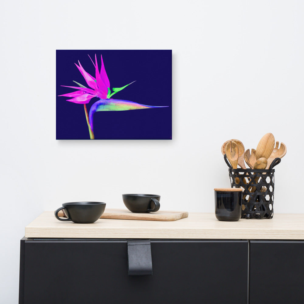 Pink Lady Bird of Paradise Canvas Print