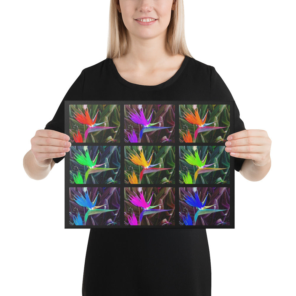 Bird of Paradise Collage Canvas Print