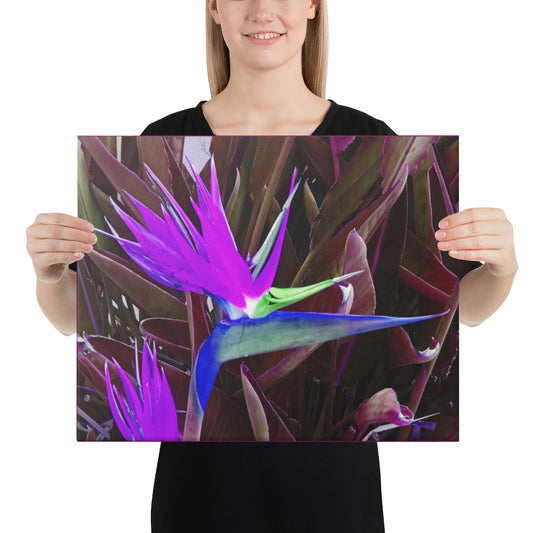 Bird of Paradise Purple Blue Canvas Print