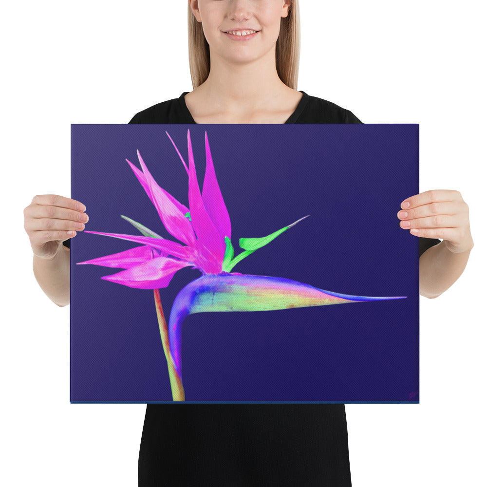 Pink Lady Bird of Paradise Canvas Print