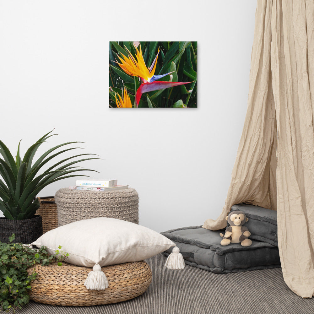 Bird of Paradise Original Colors Canvas Print