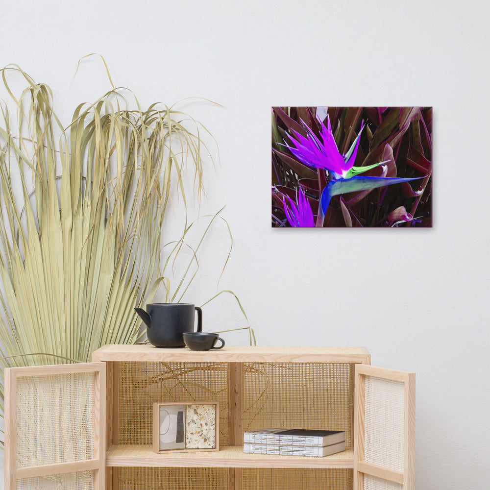 Bird of Paradise Purple Blue Canvas Print