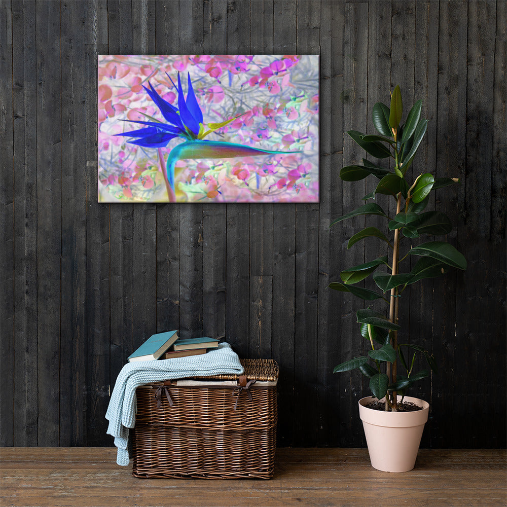 Bird of Paradise Pink Blossom Canvas Print