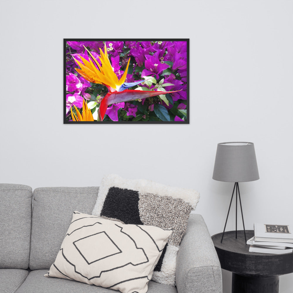 Bird of Paradise Original with Purple Flowers Framed poster