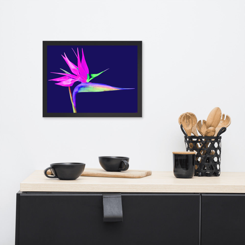 Pink Lady Bird of Paradise Framed premium paper poster