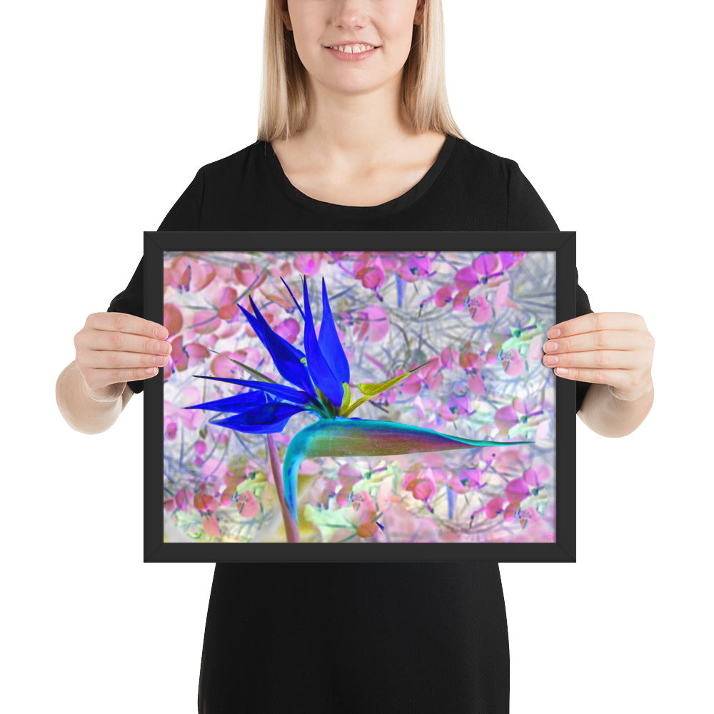 Bird of Paradise Pink Blossom Framed photo paper poster