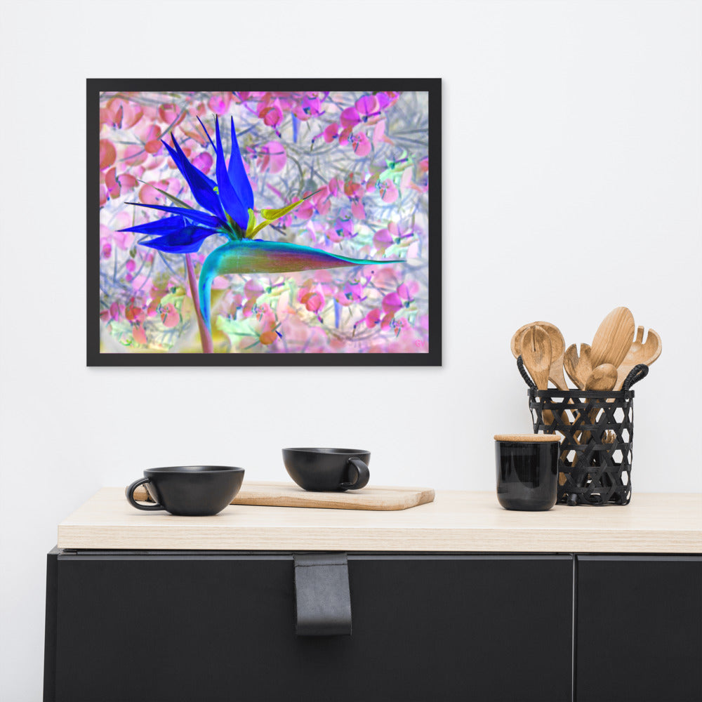 Bird of Paradise Pink Blossom Framed photo paper poster