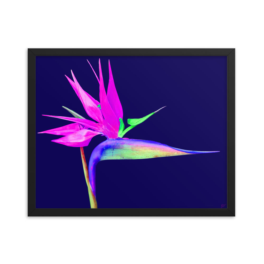 Pink Lady Bird of Paradise Framed premium paper poster