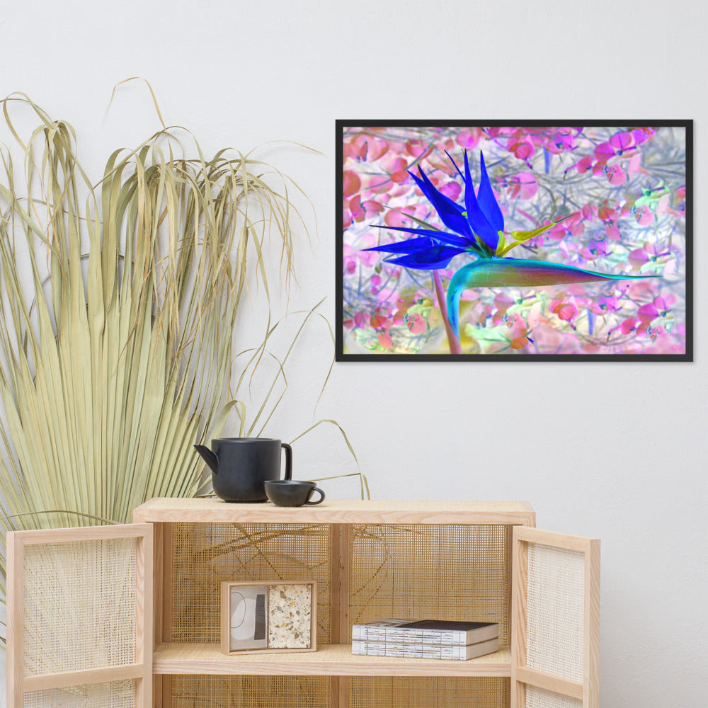 Bird of Paradise Pink Blossom Framed photo paper poster