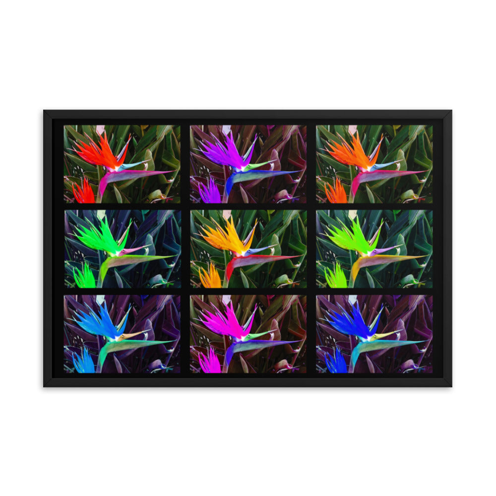 Bird of Paradise Collage Framed photo paper poster