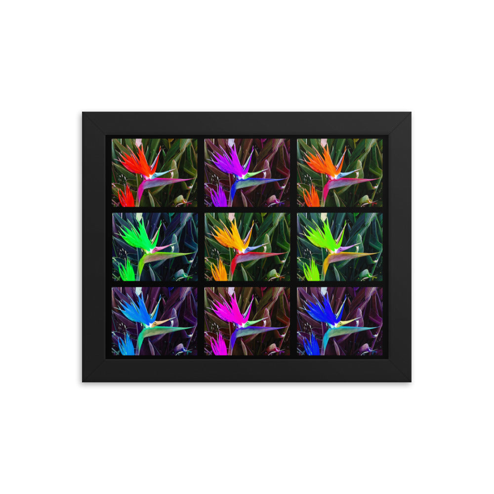 Bird of Paradise Collage Framed photo paper poster