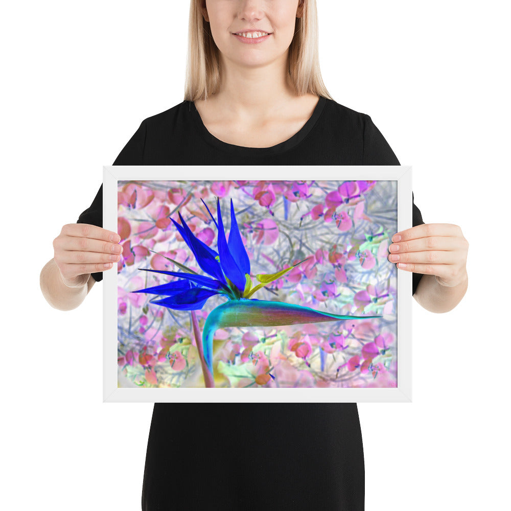 Bird of Paradise Pink Blossom Framed photo paper poster