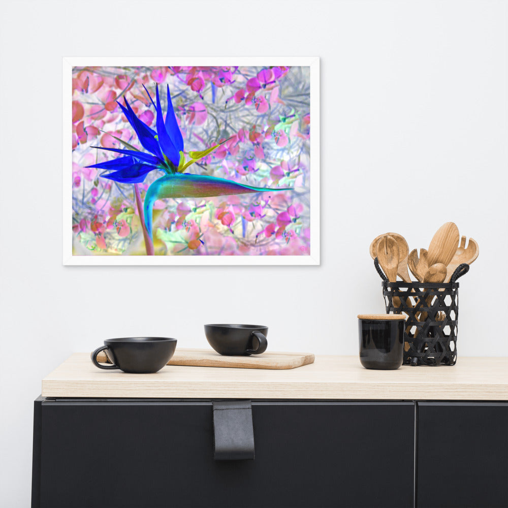 Bird of Paradise Pink Blossom Framed photo paper poster