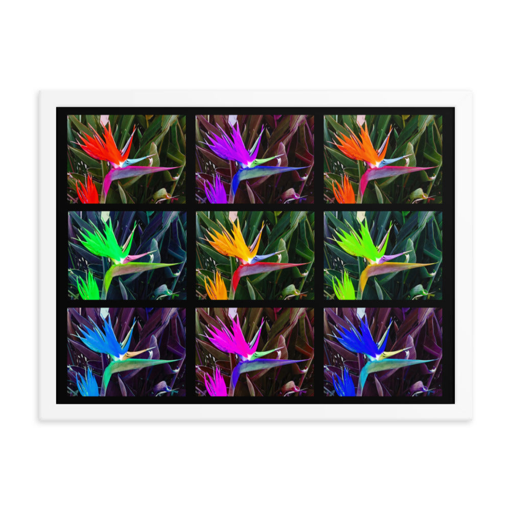 Bird of Paradise Collage Framed photo paper poster