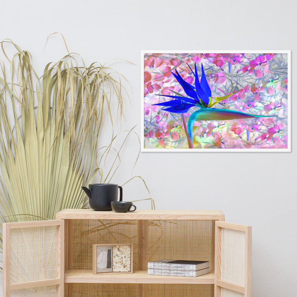 Bird of Paradise Pink Blossom Framed photo paper poster