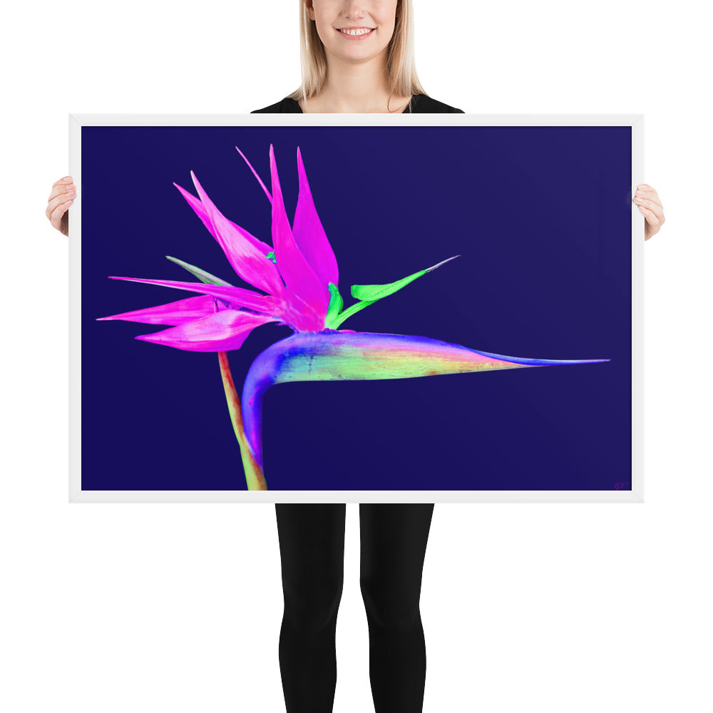 Pink Lady Bird of Paradise Framed premium paper poster