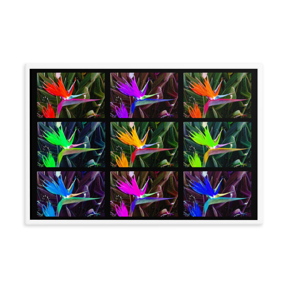 Bird of Paradise Collage Framed photo paper poster